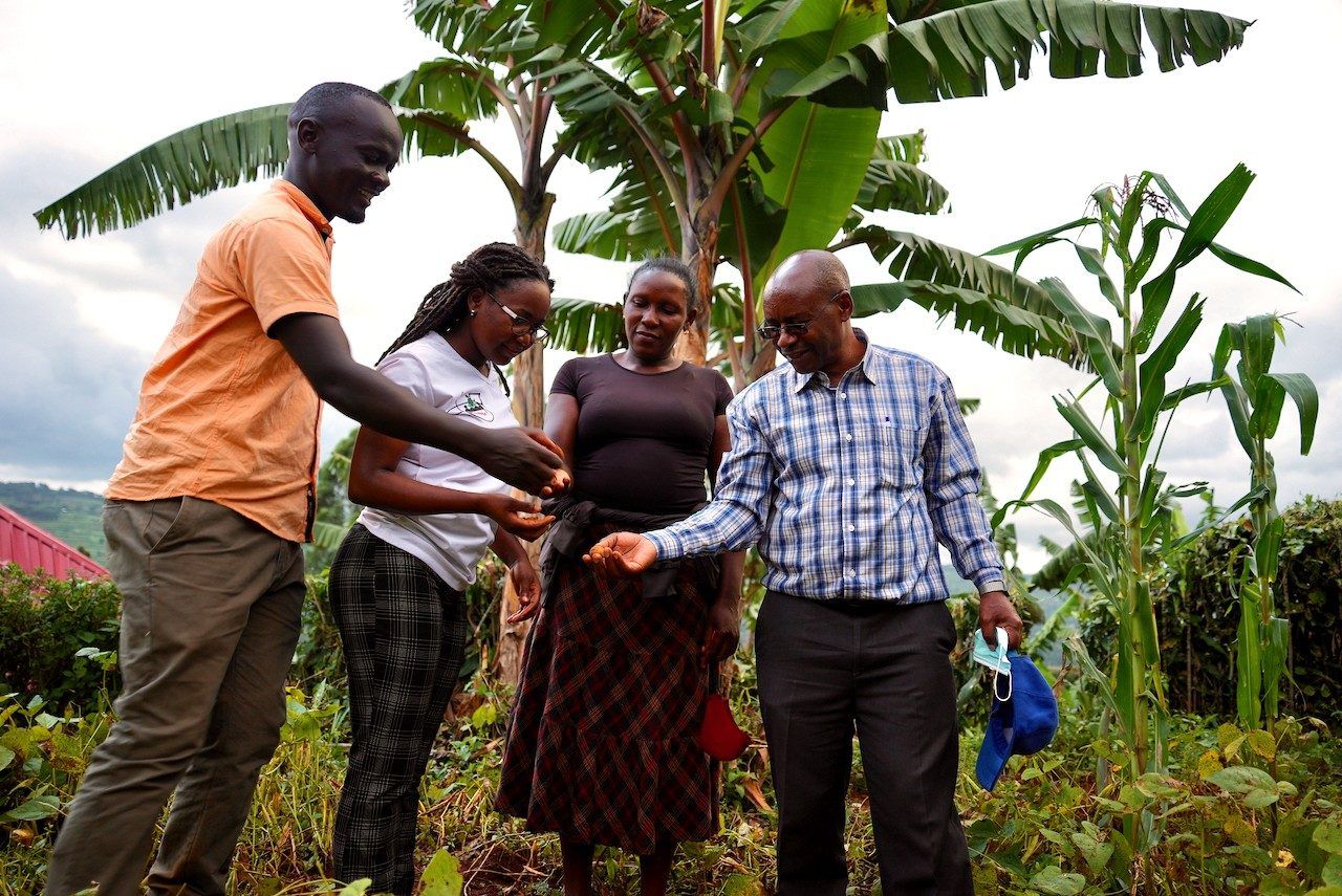 RUFORUM researchers and a farmer inspecting a crop on a field visit